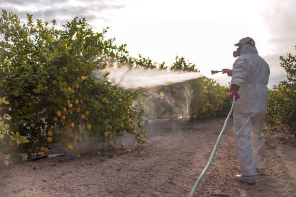 Insect Control in West New York, NJ