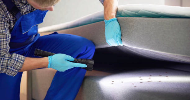 Best Residential Pest Control  in West New York, NJ