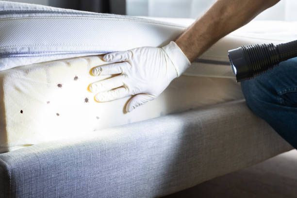 Trusted West New York, NJ Pest Control Experts