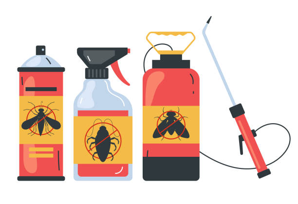 Best Termite Control Services  in West New York, NJ