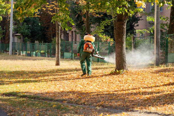 Best Bird Control  in West New York, NJ
