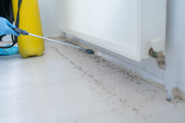  West New York, NJ Pest Control Pros
