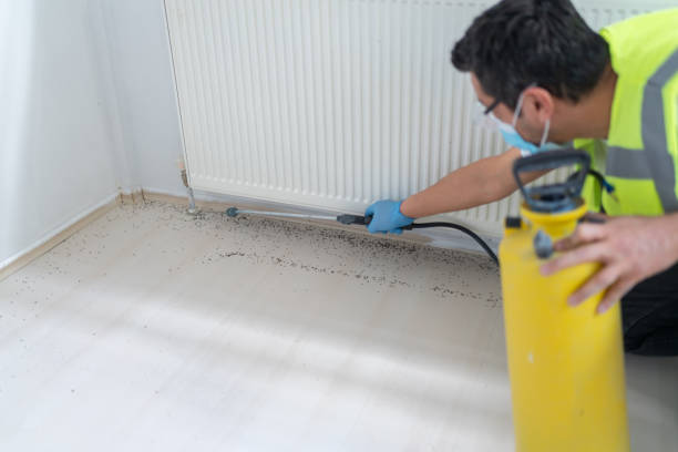 Best Exterminator Services  in West New York, NJ